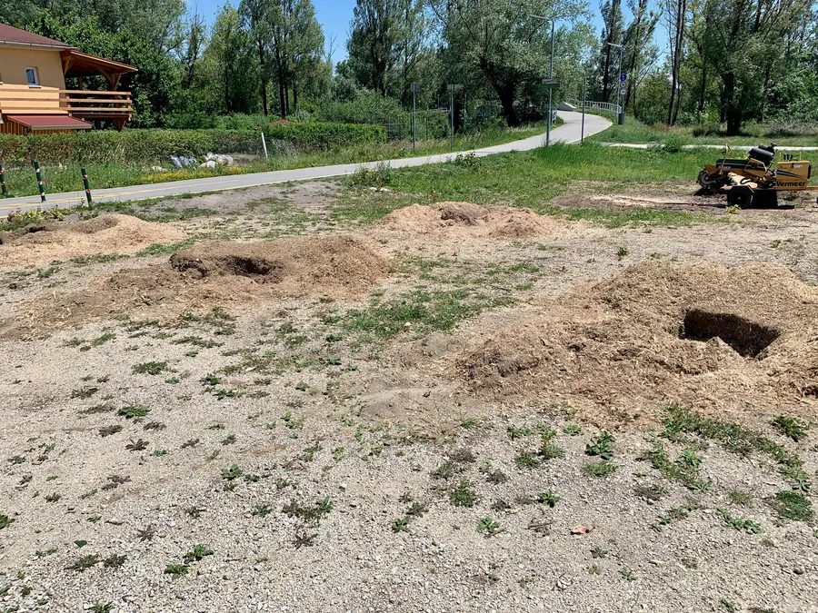 30 tuskó eltávolítása a tobruki strandnál